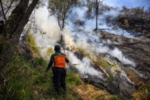 Indonesia closes national park in East Java as wildfire expands