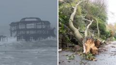 Watch: Trees ripped up as Storm Austen batters Britain